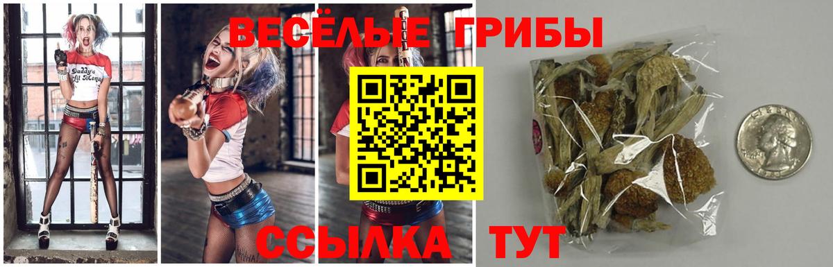 Псилоцибиновые грибы GOLDEN TEACHER Ишим